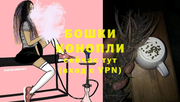 PSILOCYBIN Балабаново